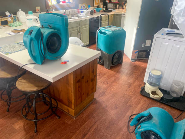Best Professional water damage repair  in Stanford, KY