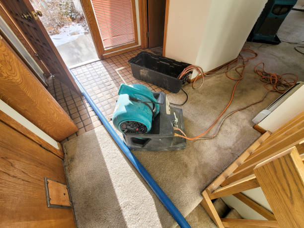 Best Local water damage restoration  in Stanford, KY