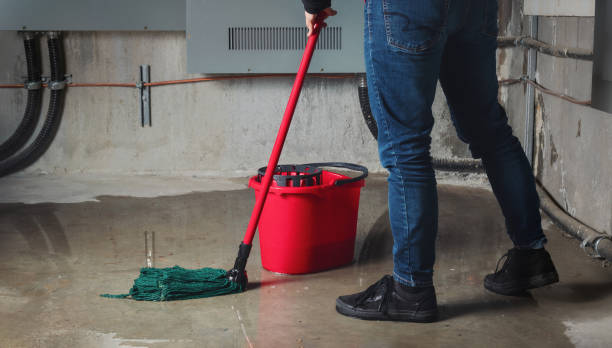 Best Water damage restoration mold remediation  in Stanford, KY