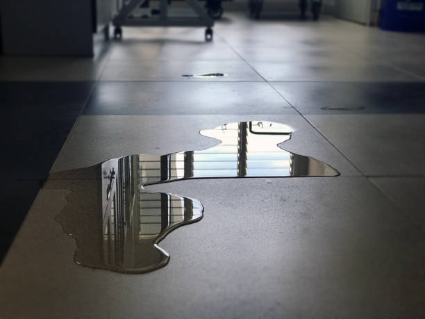 Best Water damage contractors near me  in Stanford, KY